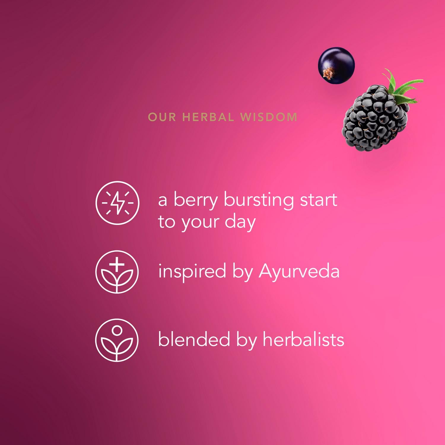 Pukka Organic Morning Berry Fruit Tea Home Compostable Herbal Tea Bags x20