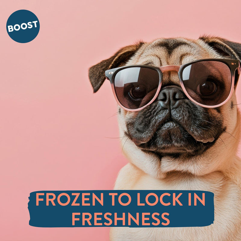 Boost Fresh Food Lamb with Superfoods Dog Food 400g