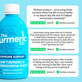 Raw Turmeric & Ashwagandha Supplement Shot with Magnesium and Zinc, 420ml