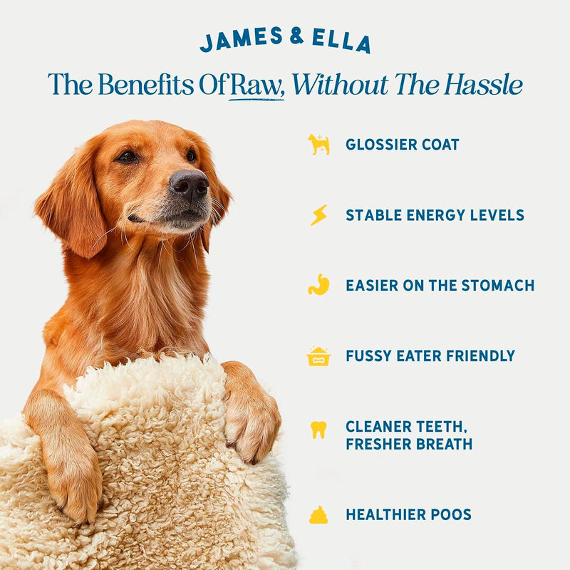 James & Ella freeze-dried chicken dog treats 40g (British brand)