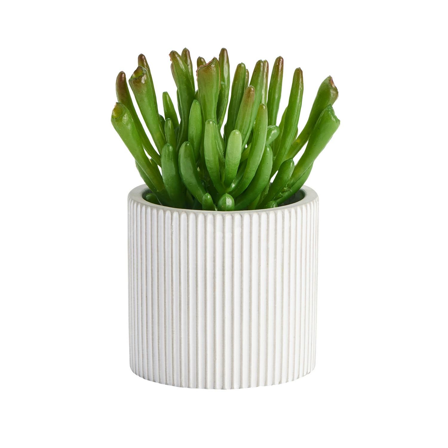 Sainsbury's Home Artificial Succulent in Cement Pot 8.9cm (British brand)