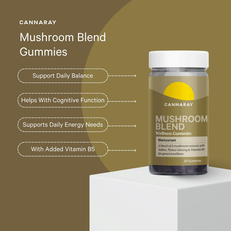 Mushroom Blend Wellness Gummies Blackcurrant Flavour 30 Count Vegan