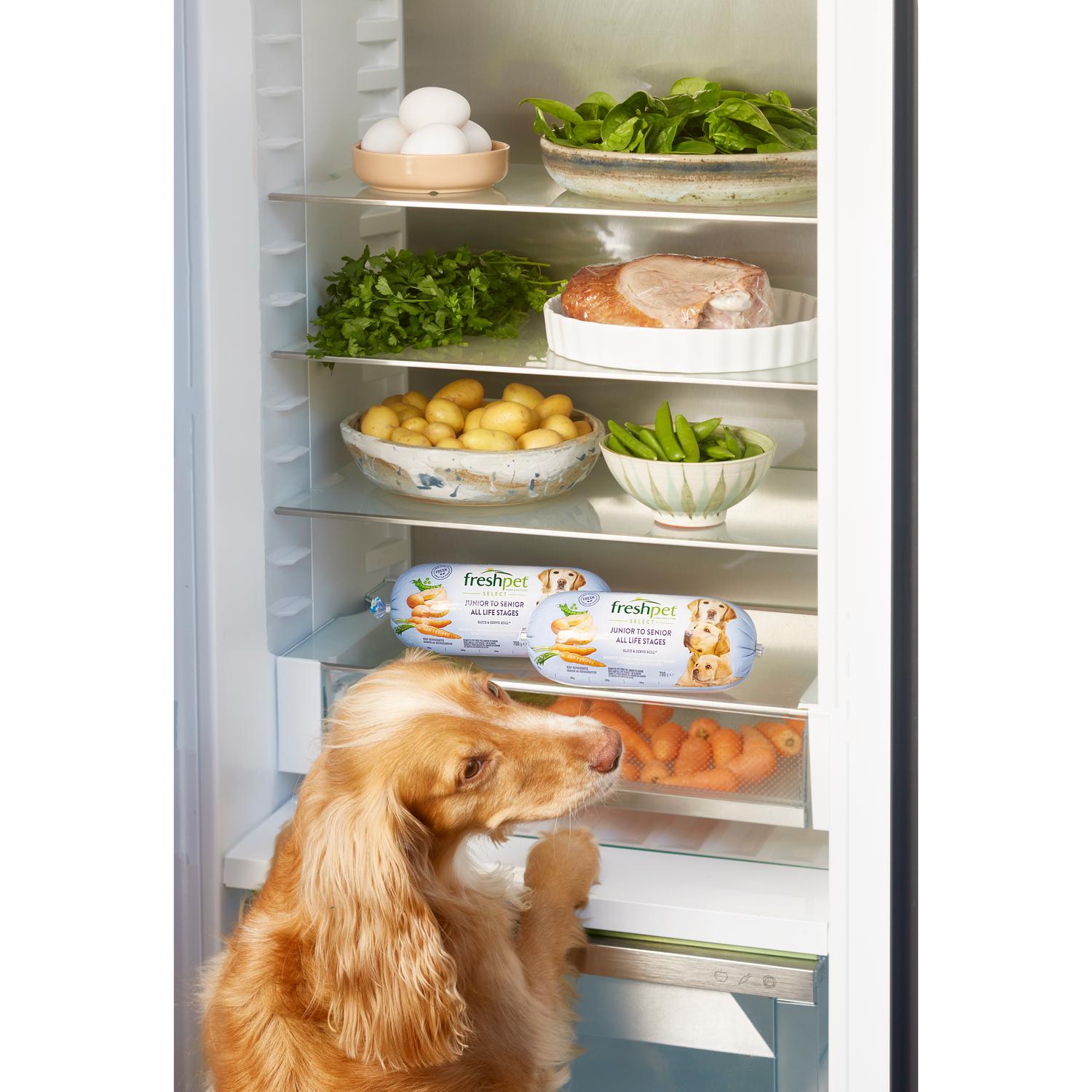 Freshpet Junior Senior Slice and Serve Dog Roll 700g - British product