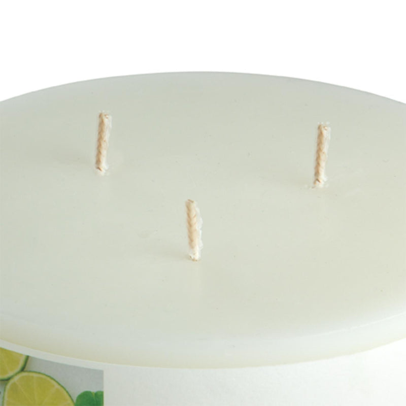 Habitat Core Plus Modern Large Wax Refill - Geranium & Basil - White