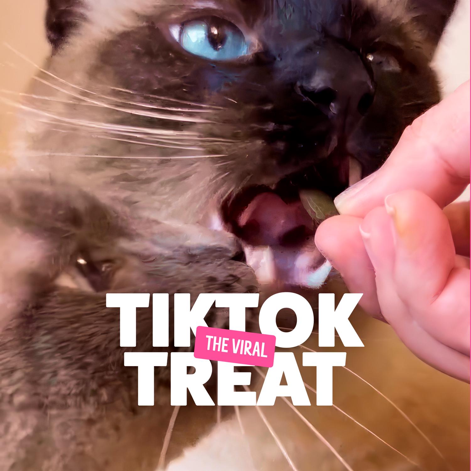 Bonkers Salmon Supreme Cat Treats 180g - British product