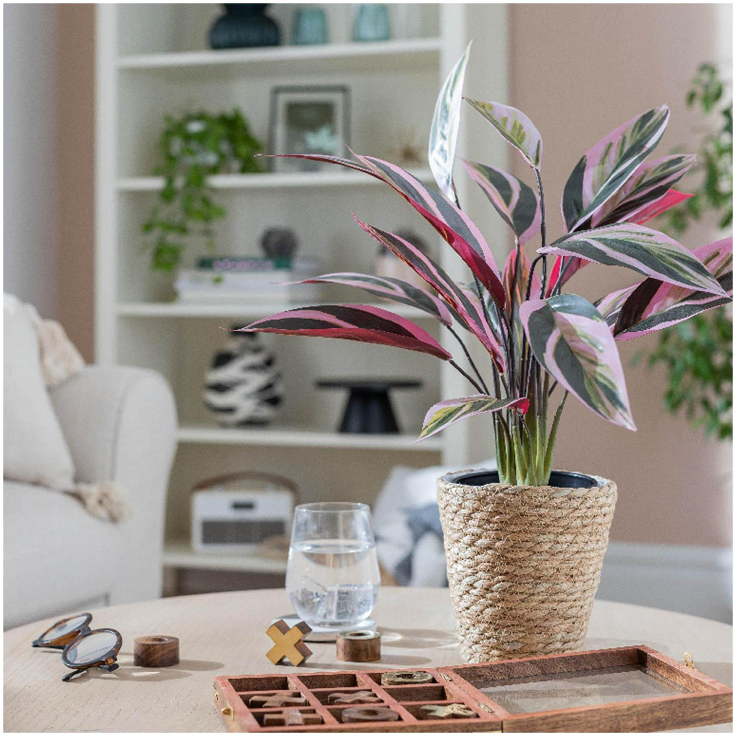 Habitat artificial Stromanthe Tricolor plant 41 x 41 x 48cm, UK version