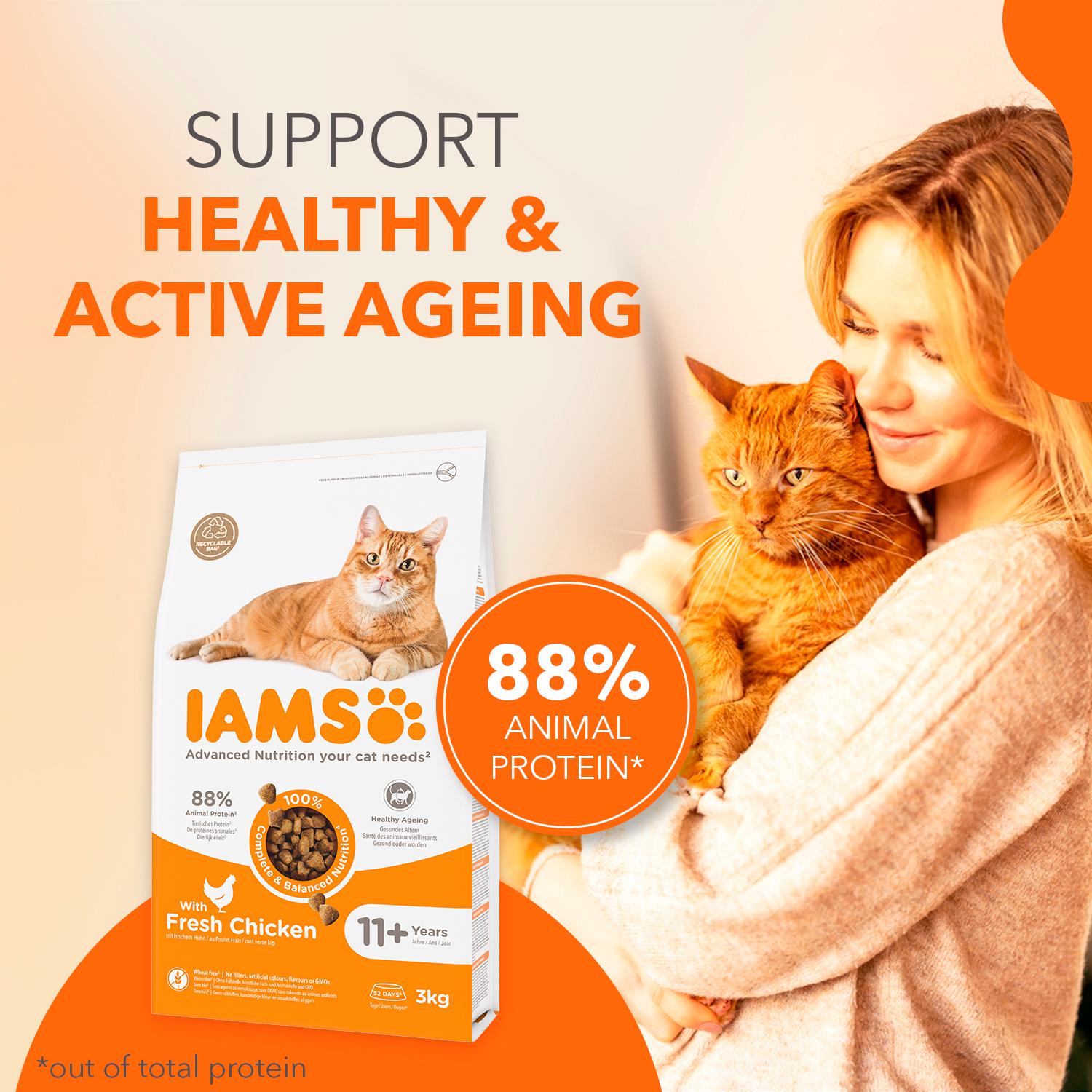 IAMS senior dry cat food 800g, imported from the UK