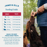 James & Ella freeze dried beef dog treats 40g (British brand)