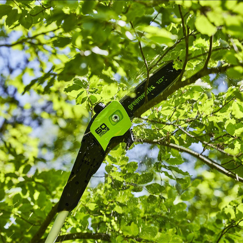 Greenworks 60V pole trimmer 25cm bar (British brand)