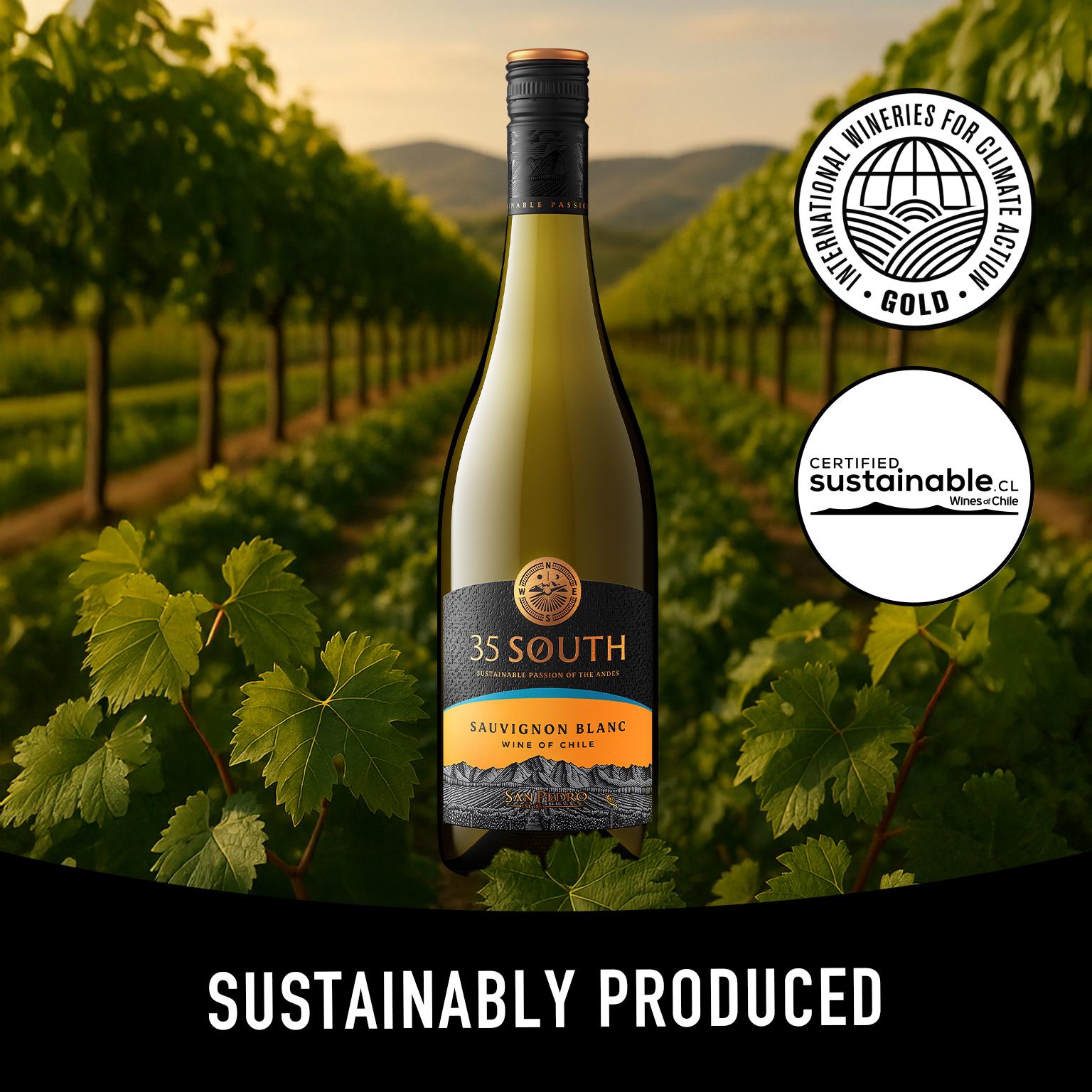 San Pedro 35 South Sauvignon Blanc 75cl (British brand)