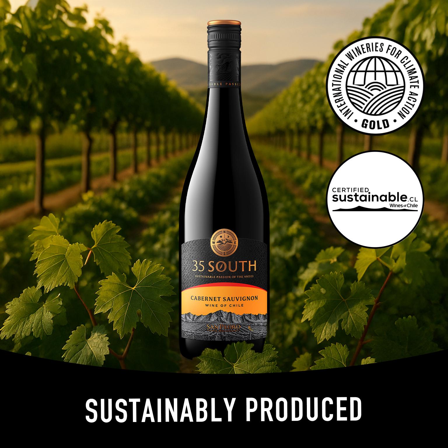 San Pedro Cabernet Sauvignon Red Wine 75cl (British brand)