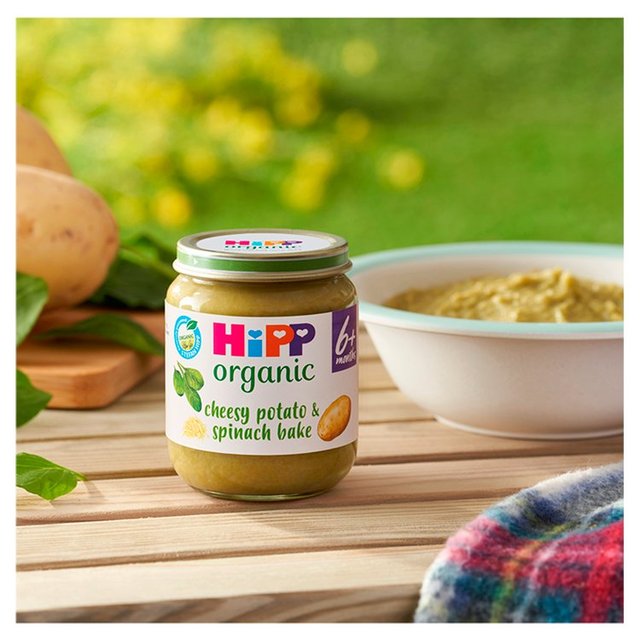 HiPP Organic Cheesy Potato & Spinach Bake Baby Food Jar 6+ Months    125g GOODS M&S   