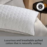 Sealy Deeply Full Pillow 2 pack - British product