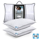 Sealy Deeply Full Pillow 2 pack - British product