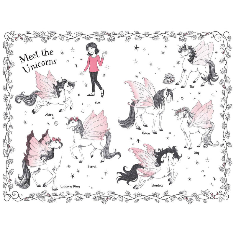Fairy Unicorns box set six hardback books Zanna Davidson (British brand)