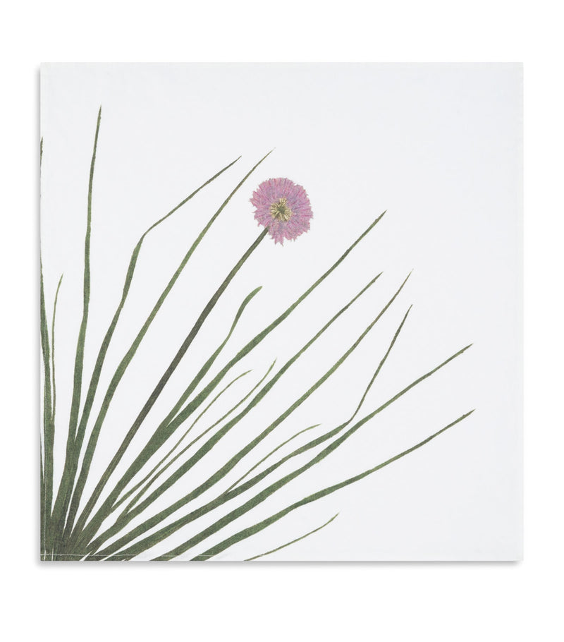 Summerill & Bishop gastronomic herb garden linen napkins 50cm x 50cm (British brand)