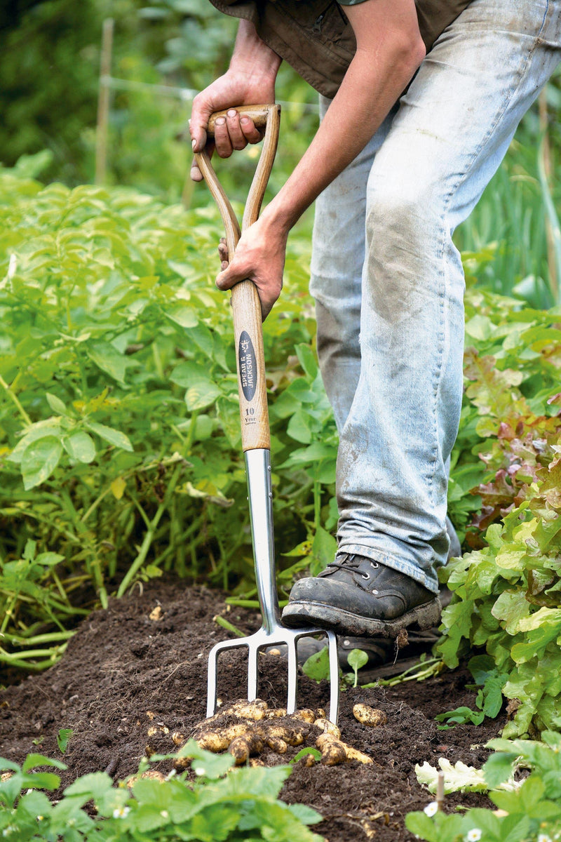 Spear & Jackson traditional digging fork (British brand)