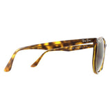 Ray-Ban RB4306 brown unisex sunglasses, UK version
