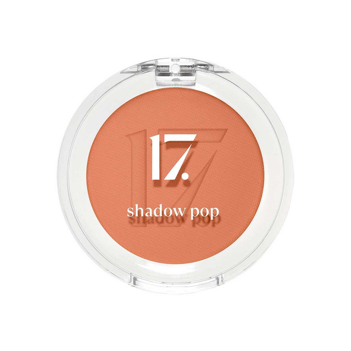 17. Shadow Pop Shade 100  Eyeshadow