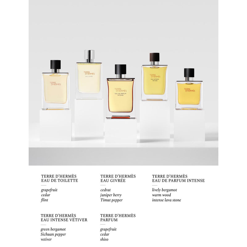 Hermès Terre d'Hermès eau de parfum refill 125ml, imported from the UK