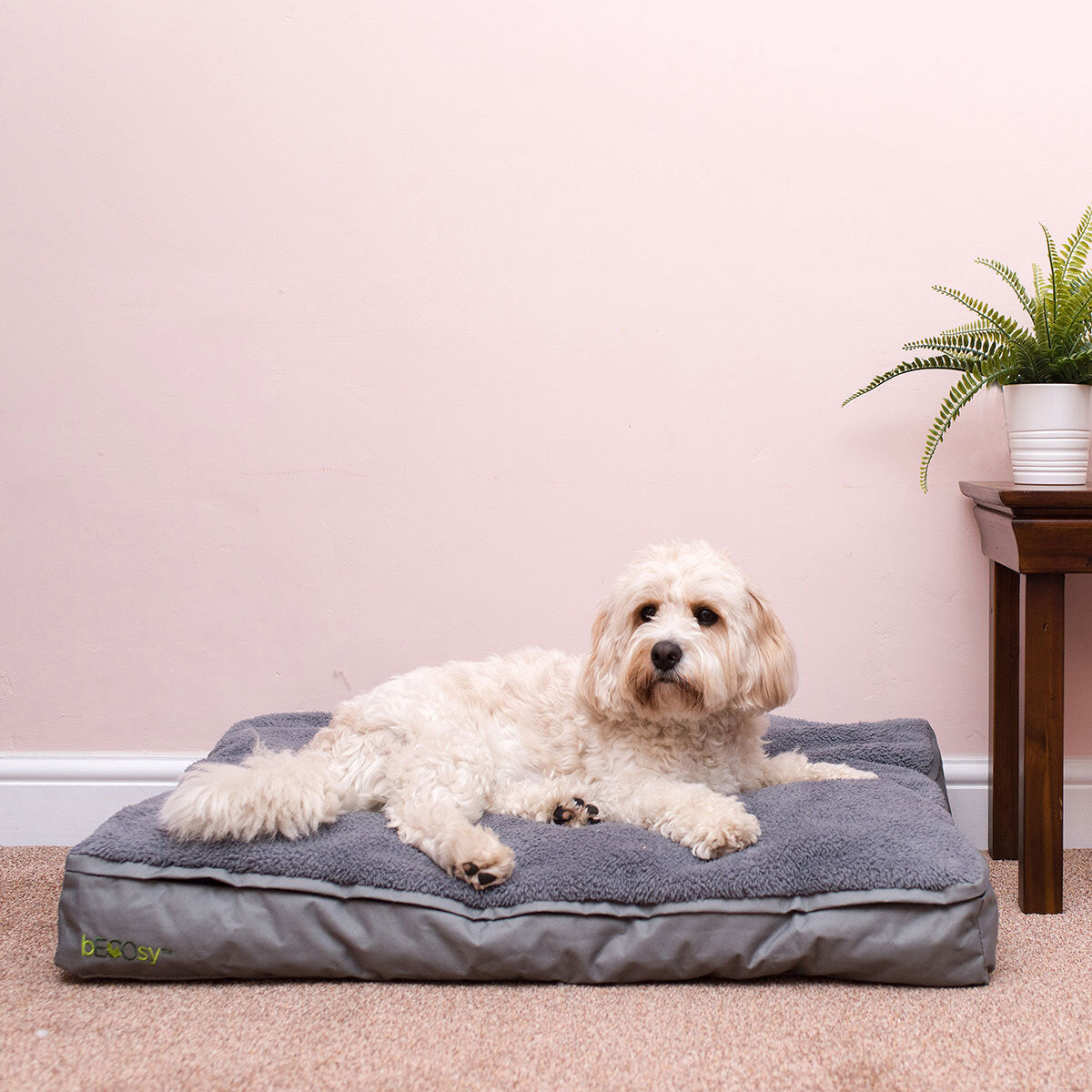 bECOsy medium orthopaedic pet bed with natural latex - British product