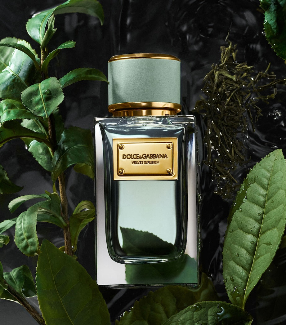 Dolce&Gabbana Velvet Infusion eau de parfum 100ml (British brand)