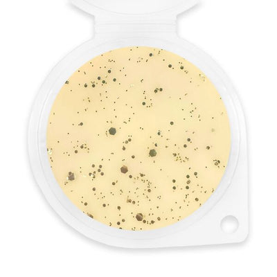 Superdrug Sassy Scents Cinnamon Sugar Pie Wax Melt 50g- Buy online at McGrocer