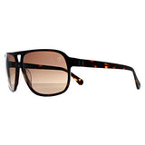 Timberland sunglasses Dark Havana Brown Polarised TB00031, imported from the UK