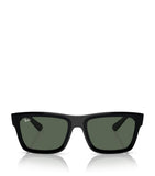 Ray-Ban Acetate 0RB4396 Sunglasses