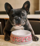 Wedgwood bone china Florentine pet bowl 17cm, imported from the UK