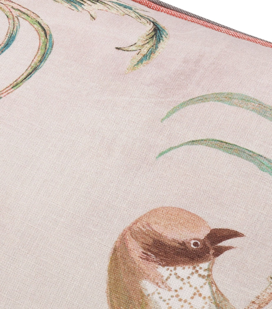 Romo Pluma Blush cushion 50cm x 50cm, imported from the UK