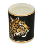 Dolce&Gabbana patchouli scented candle 340g - British product