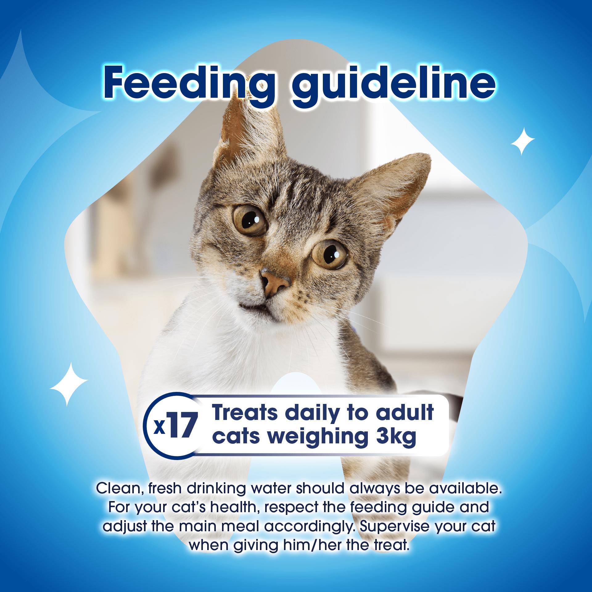Purina Dentalife salmon cat treats 40g (British brand)