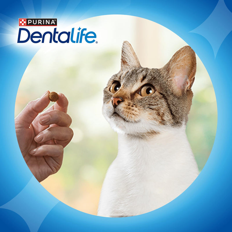 Purina Dentalife salmon cat treats 40g (British brand)