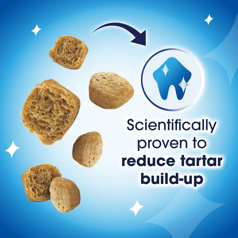 Purina Dentalife salmon cat treats 40g (British brand)