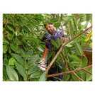 Black + Decker corded hedge trimmer 60cm - British product