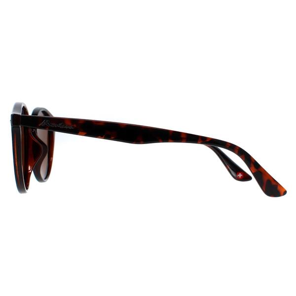 Montana brown polarized sunglasses - British product