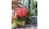 Sainsbury's artificial acer tree over 3ft tall - British product