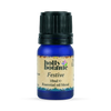 Holly Botanic festive essential oil blend 10ml (British brand)
