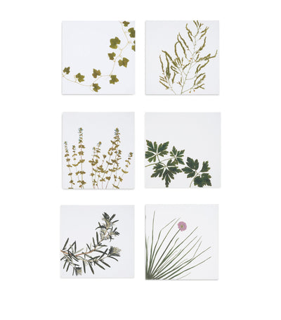 Harrods Summerill & Bishop Set of 6 Linen Gastronomic Herb Garden Napkins 50cm x 50cm- Buy online at McGrocer
