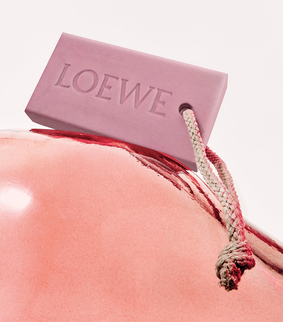 LOEWE Perfumes Ivy Soap Bar 290g - British product