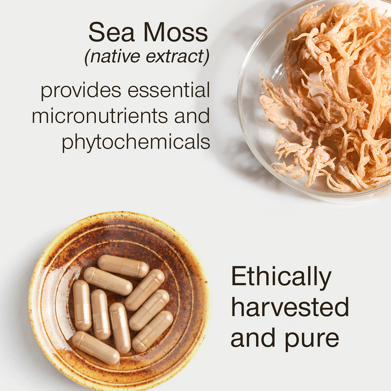 SuperSelf sea moss wildcrafted North Atlantic capsules 30 count - British product