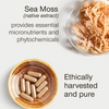 SuperSelf sea moss wildcrafted North Atlantic capsules 30 count - British product