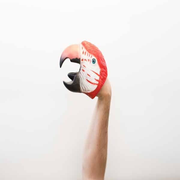 Wild Thingz hand puppet Red Macaw - British product