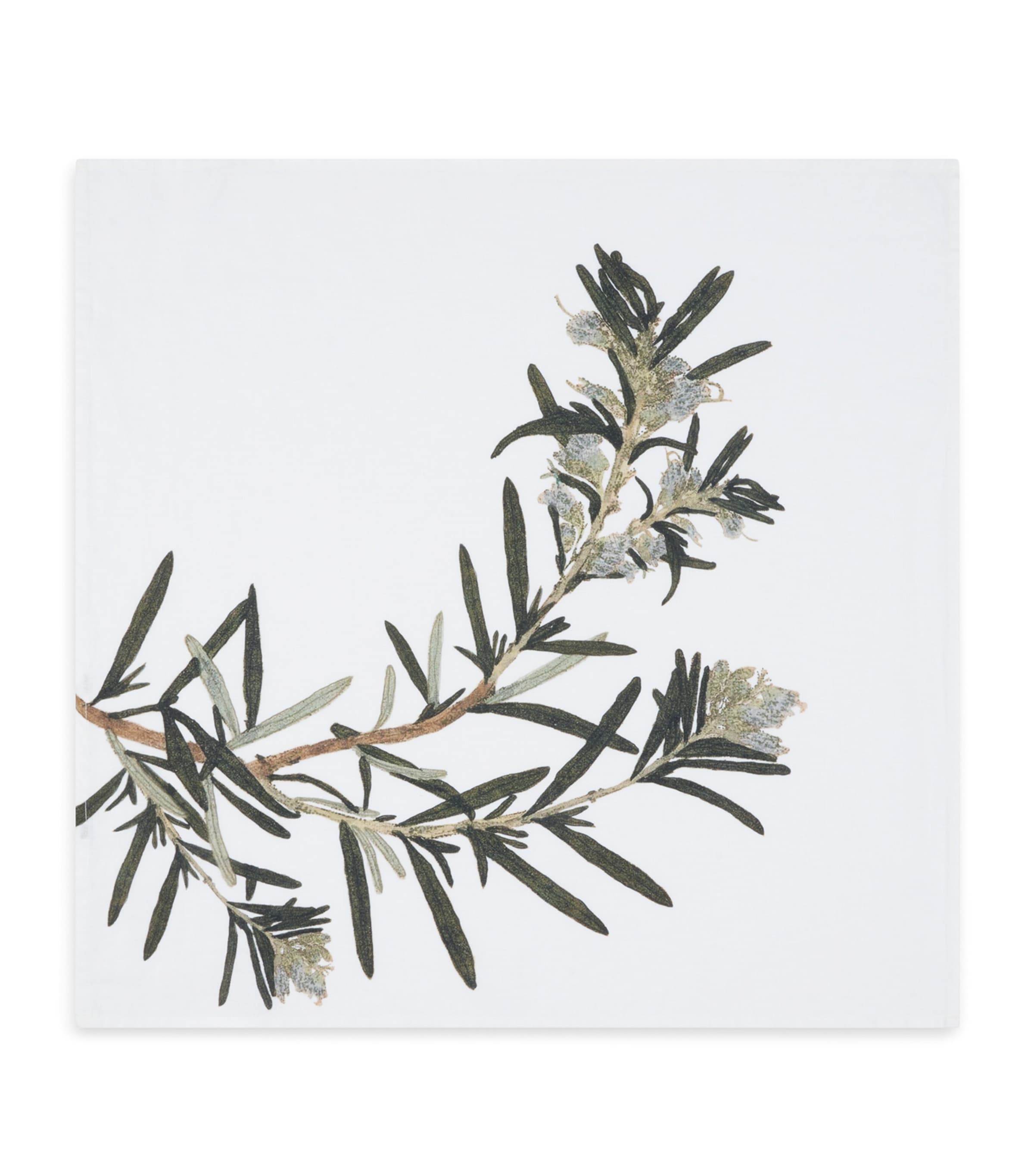 Summerill & Bishop gastronomic herb garden linen napkins 50cm x 50cm (British brand)