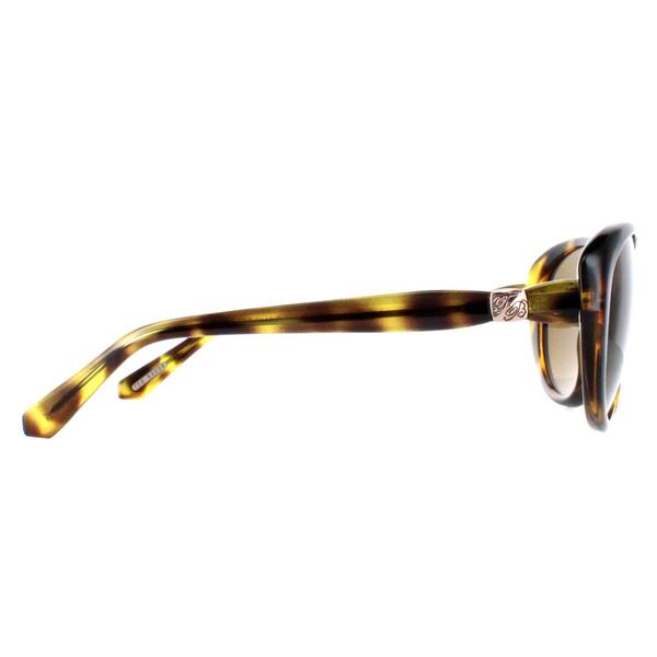 Ted Baker sunglasses Cougar brown gradient, UK version