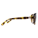 Ted Baker sunglasses Cougar brown gradient, UK version