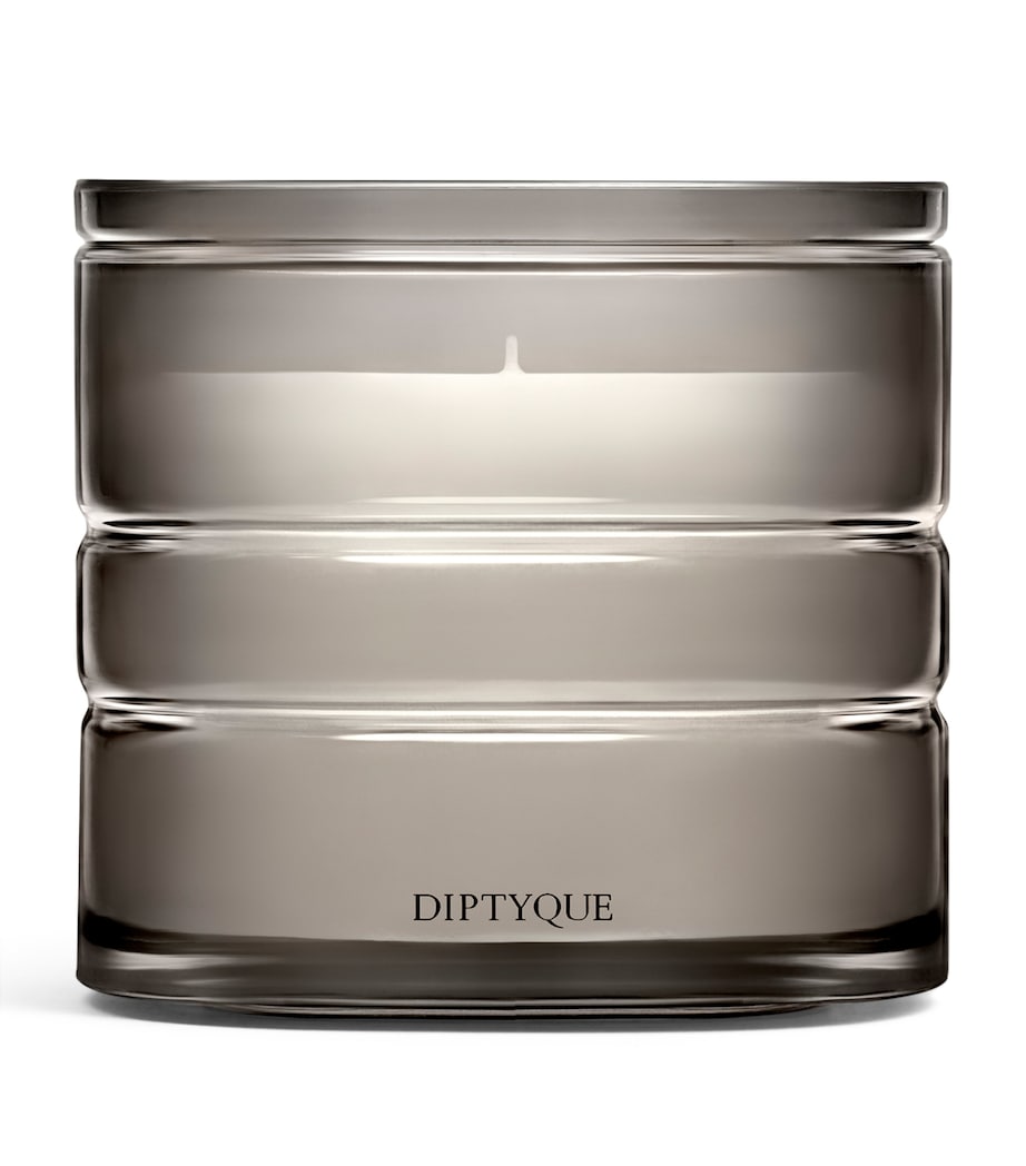 Diptyque La Vallée du Temps candle 270g - British product