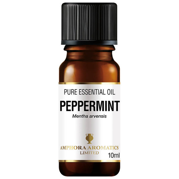 Amphora Aromatics Peppermint Essential Oil 10ml GOODS Superdrug   