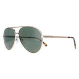 Lacoste L233SP gold green polarized sunglasses - British product